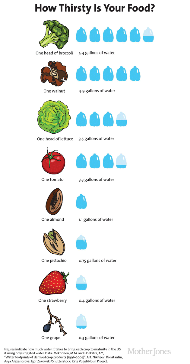 Waterverbruik vlees en groente